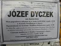 Gołębie zdjęcie